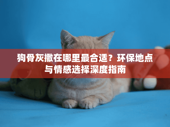 狗骨灰撒在哪里最合适？环保地点与情感选择深度指南
