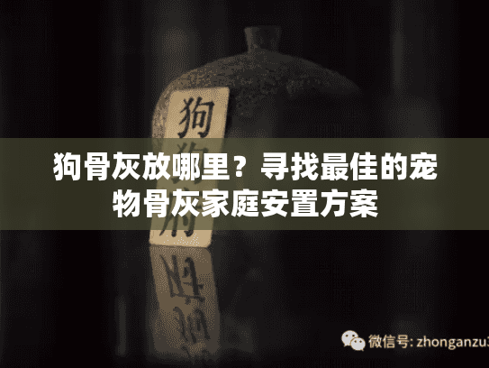 狗骨灰放哪里？寻找最佳的宠物骨灰家庭安置方案