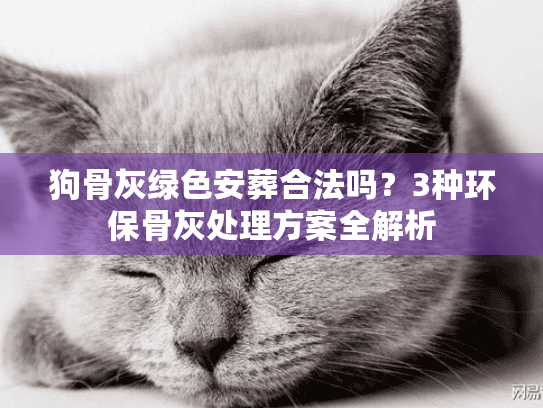 狗骨灰绿色安葬合法吗？3种环保骨灰处理方案全解析