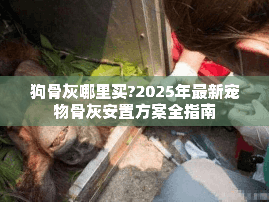 狗骨灰哪里买?2025年最新宠物骨灰安置方案全指南