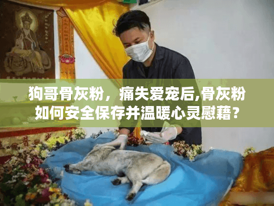 狗哥骨灰粉，痛失爱宠后,骨灰粉如何安全保存并温暖心灵慰藉？