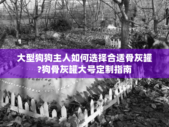 大型狗狗主人如何选择合适骨灰罐?狗骨灰罐大号定制指南