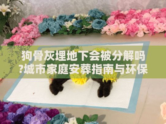 狗骨灰埋地下会被分解吗?城市家庭安葬指南与环保方案