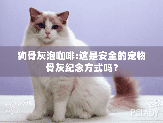 狗骨灰泡咖啡:这是安全的宠物骨灰纪念方式吗？