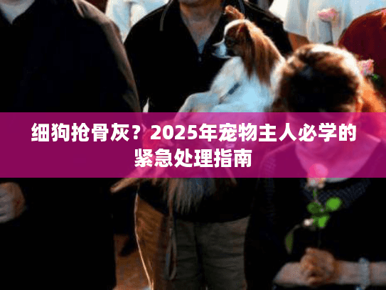 细狗抢骨灰？2025年宠物主人必学的紧急处理指南