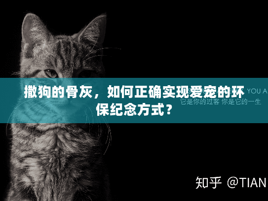 撒狗的骨灰，如何正确实现爱宠的环保纪念方式？