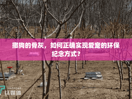 撒狗的骨灰，如何正确实现爱宠的环保纪念方式？