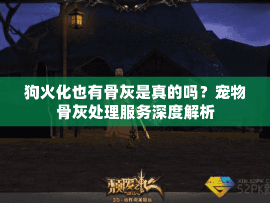 狗火化也有骨灰是真的吗？宠物骨灰处理服务深度解析