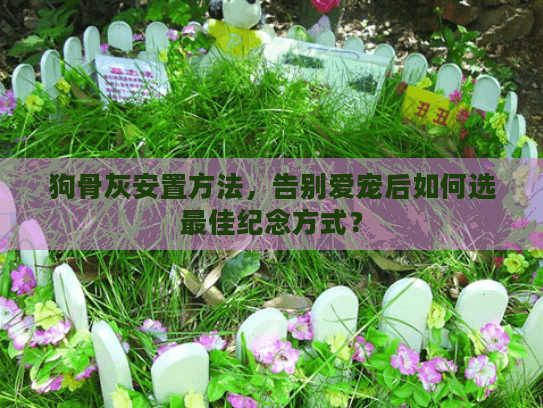 狗骨灰安置方法，告别爱宠后如何选最佳纪念方式？