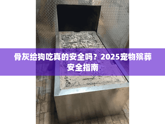 骨灰给狗吃真的安全吗？2025宠物殡葬安全指南