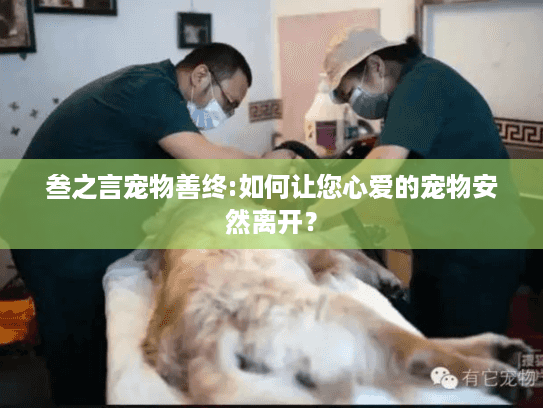 叁之言宠物善终:如何让您心爱的宠物安然离开？