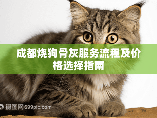 成都烧狗骨灰服务流程及价格选择指南