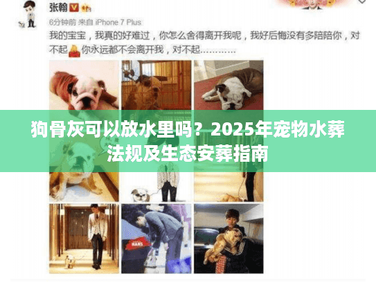 狗骨灰可以放水里吗？2025年宠物水葬法规及生态安葬指南