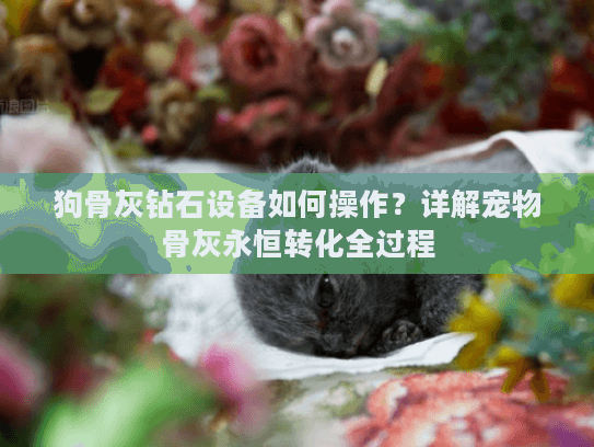 狗骨灰钻石设备如何操作？详解宠物骨灰永恒转化全过程