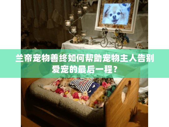 兰帝宠物善终如何帮助宠物主人告别爱宠的最后一程？