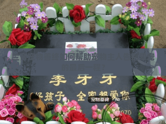 兰帝宠物善终如何帮助宠物主人告别爱宠的最后一程？
