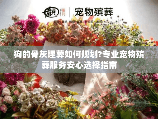 狗的骨灰埋葬如何规划?专业宠物殡葬服务安心选择指南