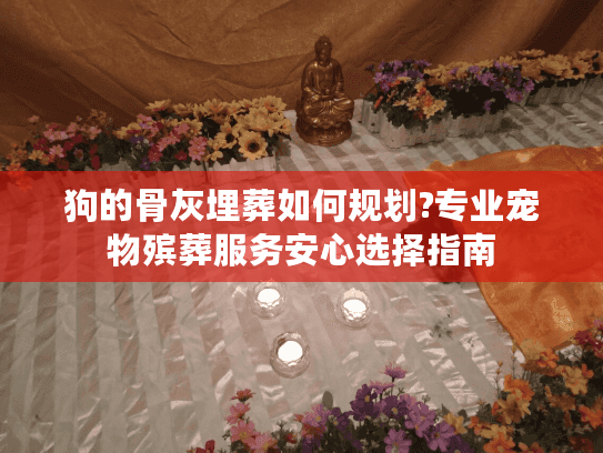 狗的骨灰埋葬如何规划?专业宠物殡葬服务安心选择指南