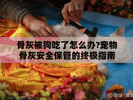 骨灰被狗吃了怎么办?宠物骨灰安全保管的终极指南