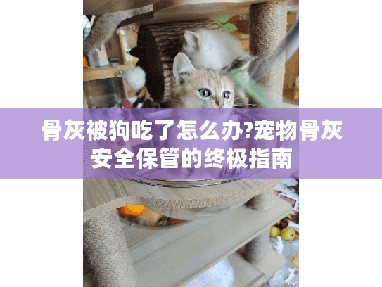 骨灰被狗吃了怎么办?宠物骨灰安全保管的终极指南