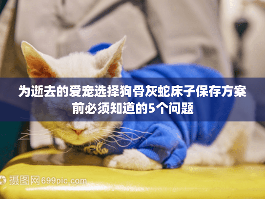 为逝去的爱宠选择狗骨灰蛇床子保存方案前必须知道的5个问题