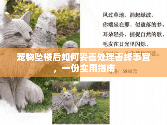 宠物坠楼后如何妥善处理善终事宜，一份实用指南
