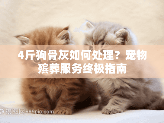 4斤狗骨灰如何处理？宠物殡葬服务终极指南