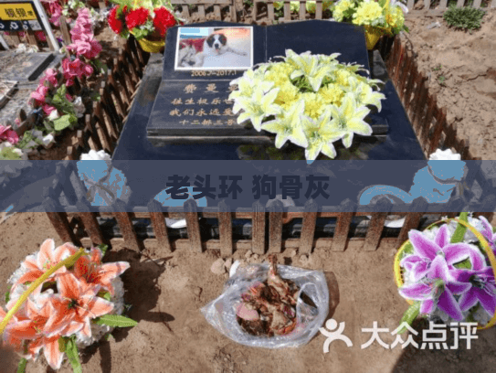 老头环 狗骨灰