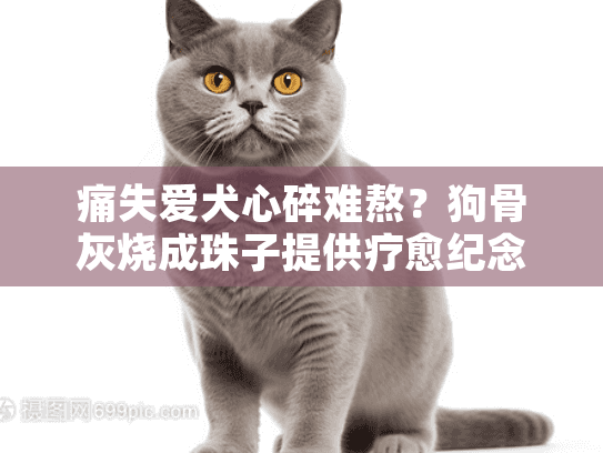 痛失爱犬心碎难熬？狗骨灰烧成珠子提供疗愈纪念！