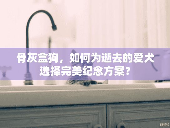 骨灰盒狗，如何为逝去的爱犬选择完美纪念方案？
