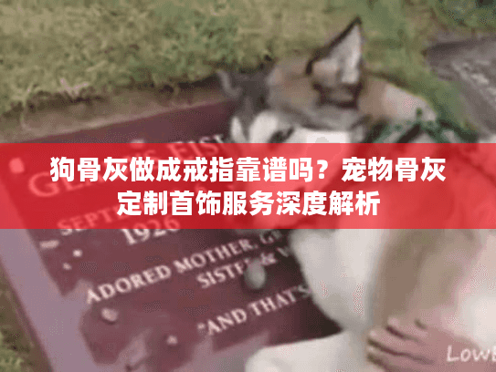 狗骨灰做成戒指靠谱吗？宠物骨灰定制首饰服务深度解析