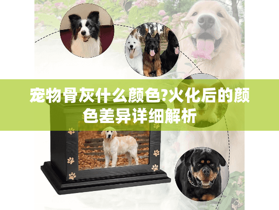 宠物骨灰什么颜色?火化后的颜色差异详细解析