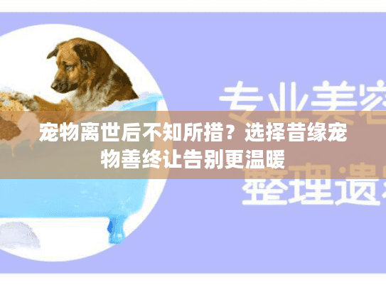 宠物离世后不知所措？选择昔缘宠物善终让告别更温暖