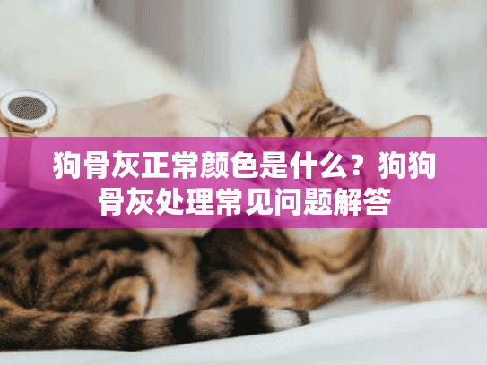狗骨灰正常颜色是什么？狗狗骨灰处理常见问题解答