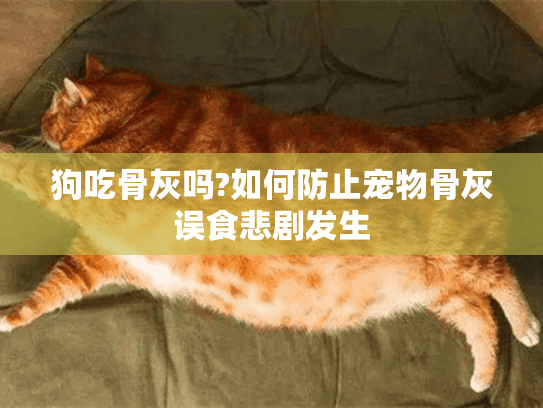 狗吃骨灰吗?如何防止宠物骨灰误食悲剧发生