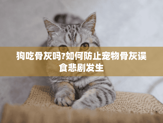 狗吃骨灰吗?如何防止宠物骨灰误食悲剧发生
