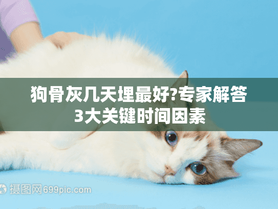 狗骨灰几天埋最好?专家解答3大关键时间因素