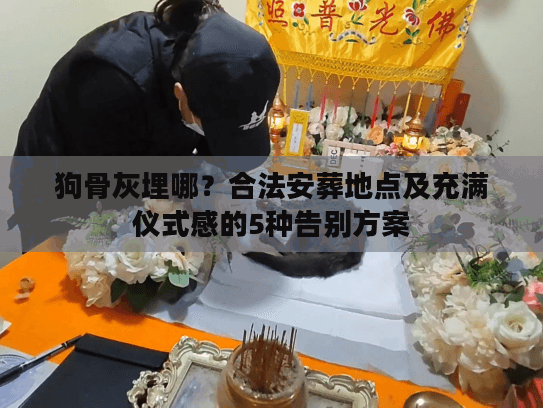 狗骨灰埋哪？合法安葬地点及充满仪式感的5种告别方案