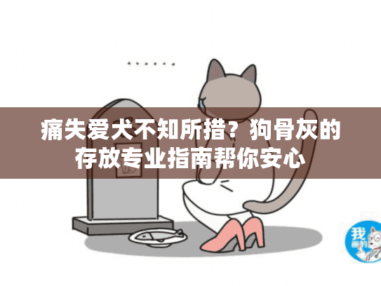 痛失爱犬不知所措？狗骨灰的存放专业指南帮你安心