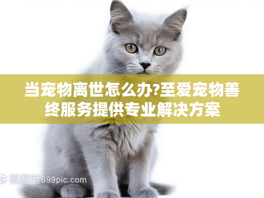 当宠物离世怎么办?至爱宠物善终服务提供专业解决方案