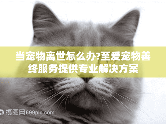 当宠物离世怎么办?至爱宠物善终服务提供专业解决方案