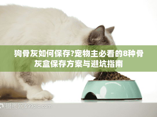 狗骨灰如何保存?宠物主必看的8种骨灰盒保存方案与避坑指南