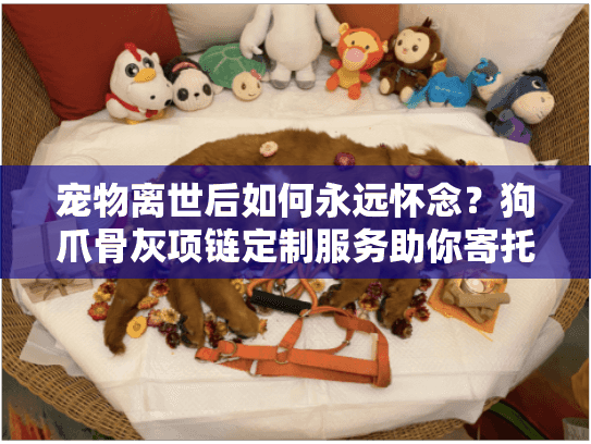 宠物离世后如何永远怀念？狗爪骨灰项链定制服务助你寄托思念