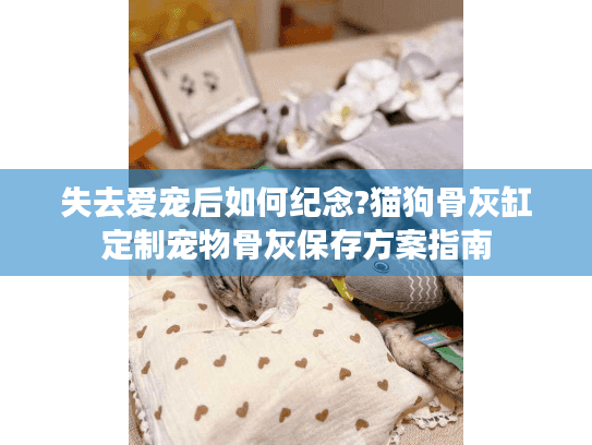 失去爱宠后如何纪念?猫狗骨灰缸定制宠物骨灰保存方案指南