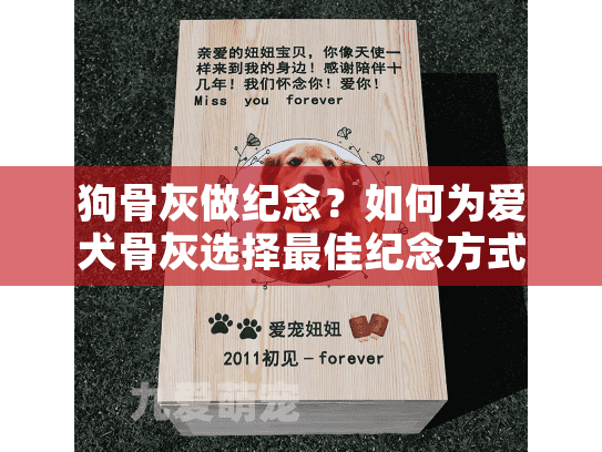狗骨灰做纪念？如何为爱犬骨灰选择最佳纪念方式?