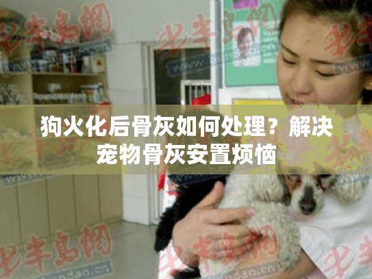 狗火化后骨灰如何处理？解决宠物骨灰安置烦恼