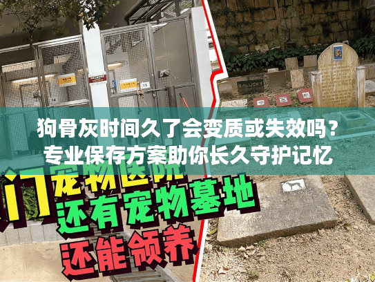 狗骨灰时间久了会变质或失效吗？专业保存方案助你长久守护记忆