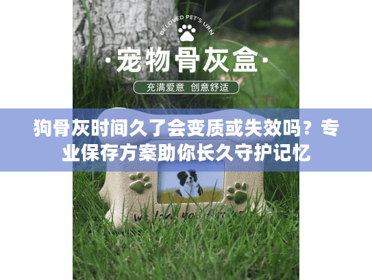 狗骨灰时间久了会变质或失效吗？专业保存方案助你长久守护记忆