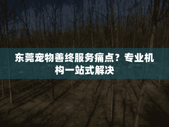 东莞宠物善终服务痛点？专业机构一站式解决