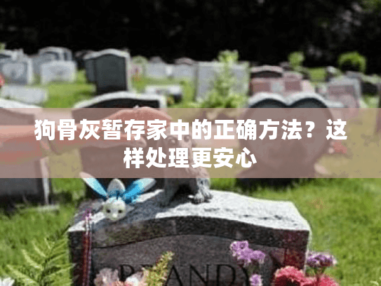 狗骨灰暂存家中的正确方法？这样处理更安心